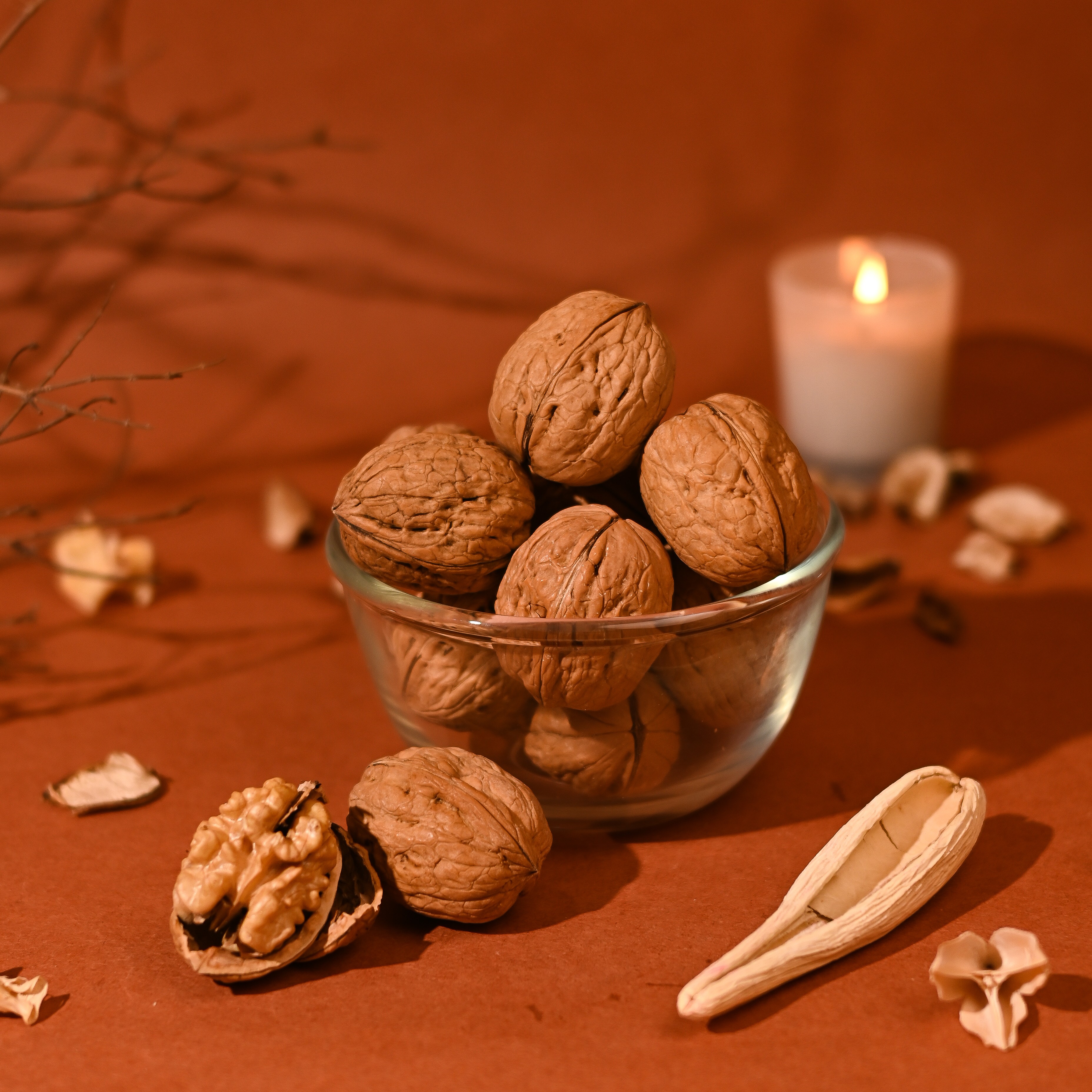 Walnut In Shell Premium