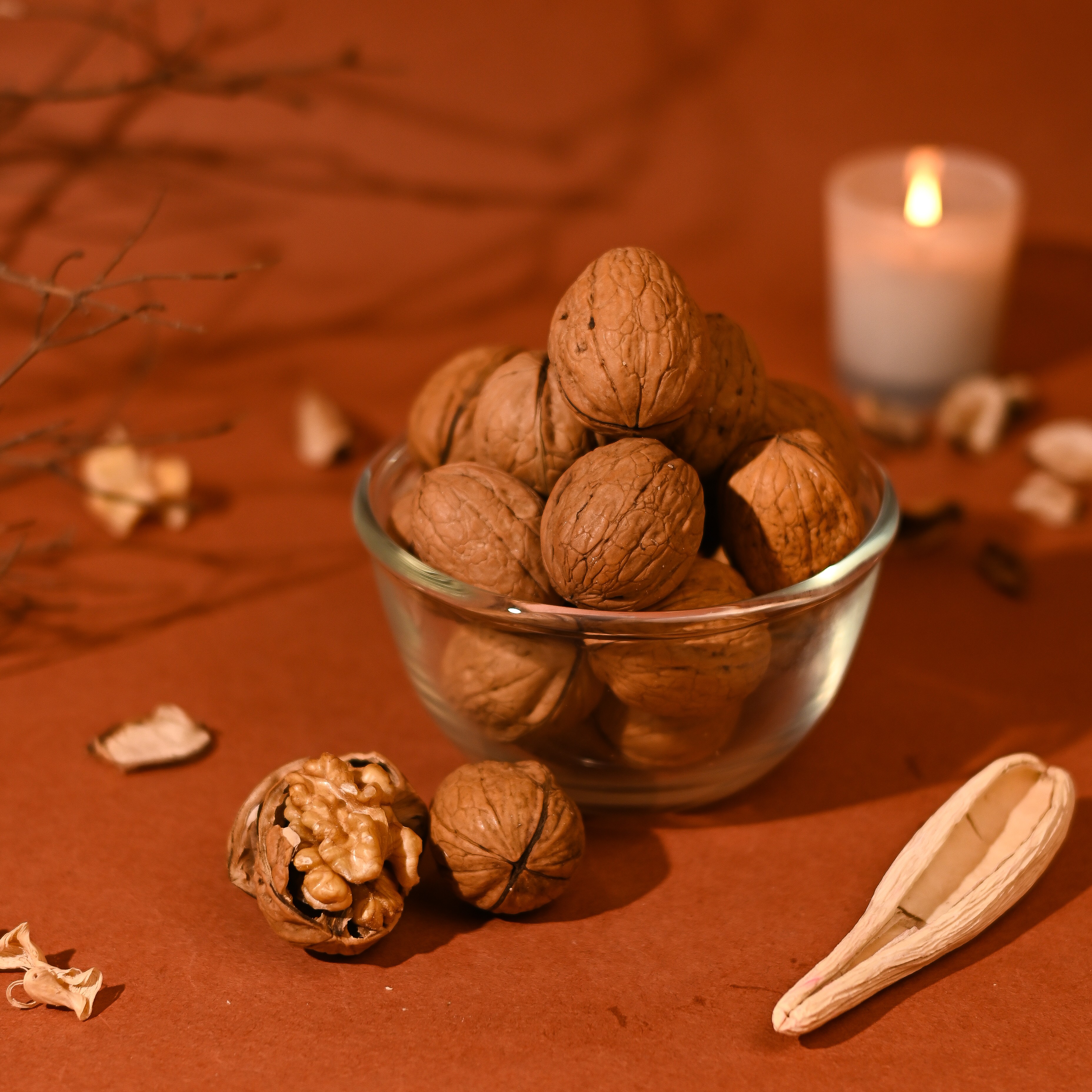 Walnuts In Shell Regular